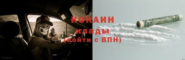 винт Пересвет
