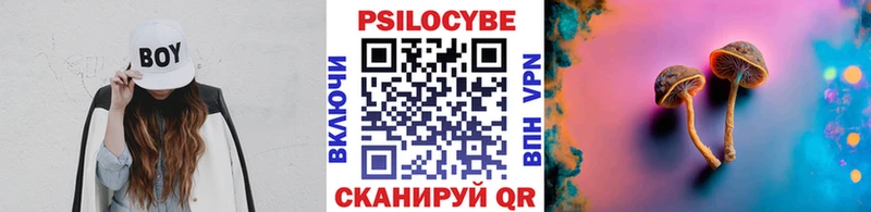 omg ТОР  Кирс  Псилоцибиновые грибы Cubensis  где купить  